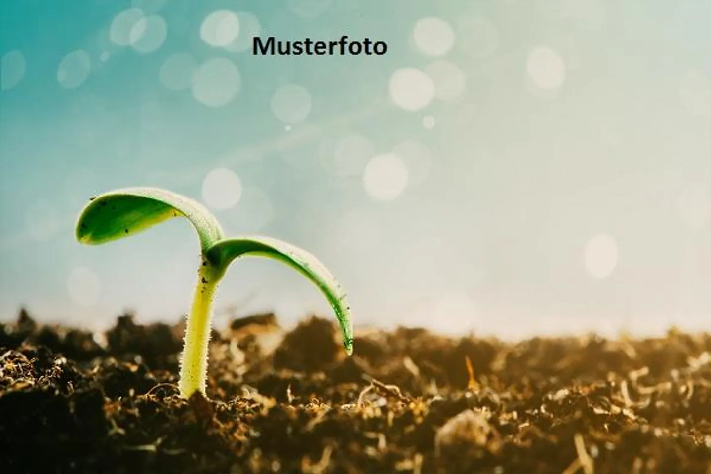 *Habitation* - Photo 1 sur 13