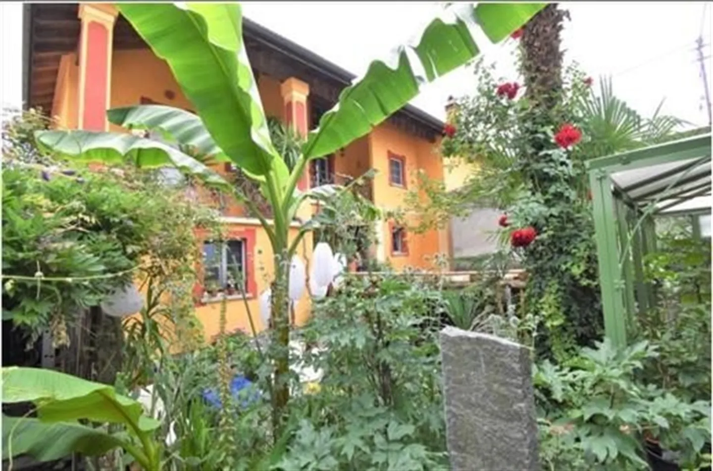 Charming House in the Old Town with Three Apartments and Garden - Photo 3 of 20