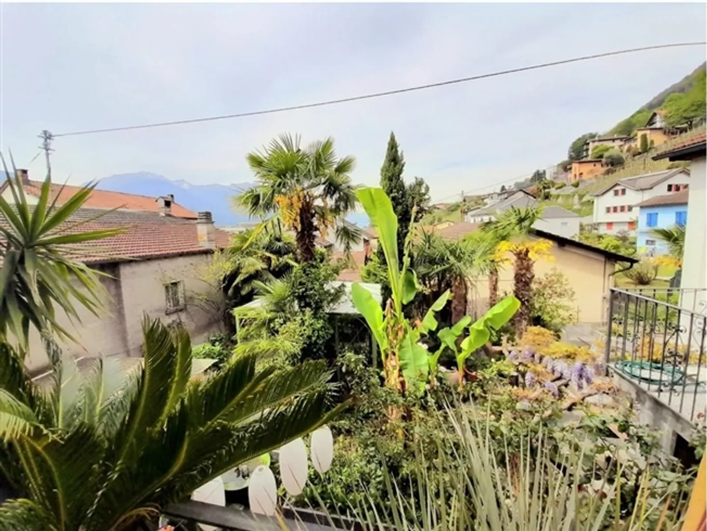 Charming House in the Old Town with Three Apartments and Garden - Photo 18 of 20