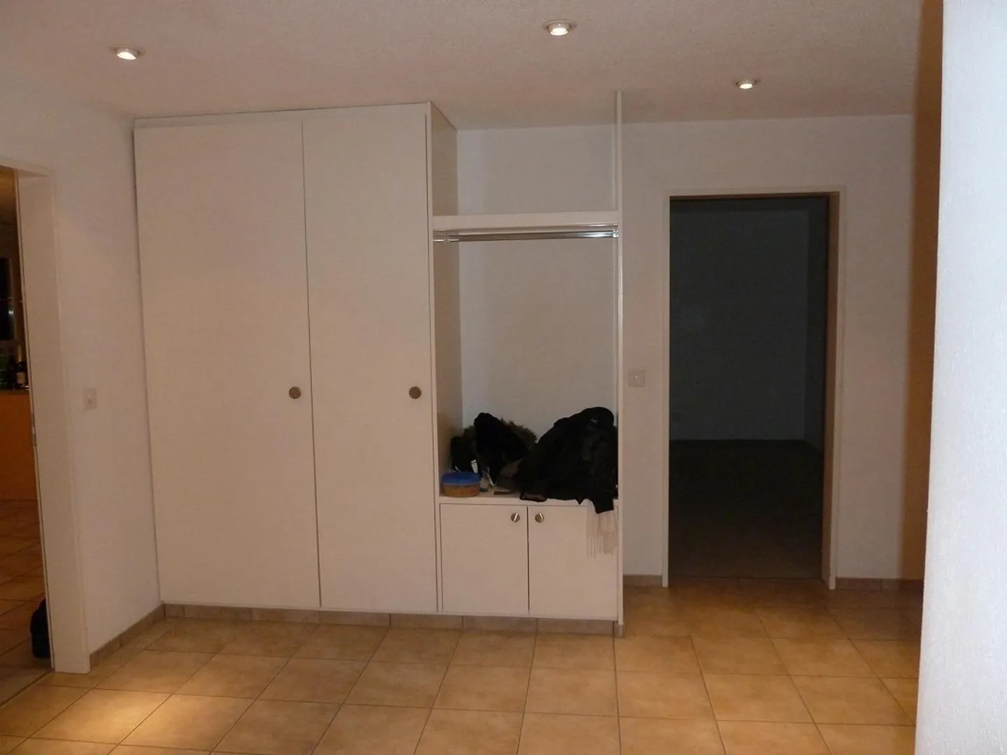 Attractive 3.5 Room Apartment in Prime Location with Lake and Mountain View - Photo 8 of 15