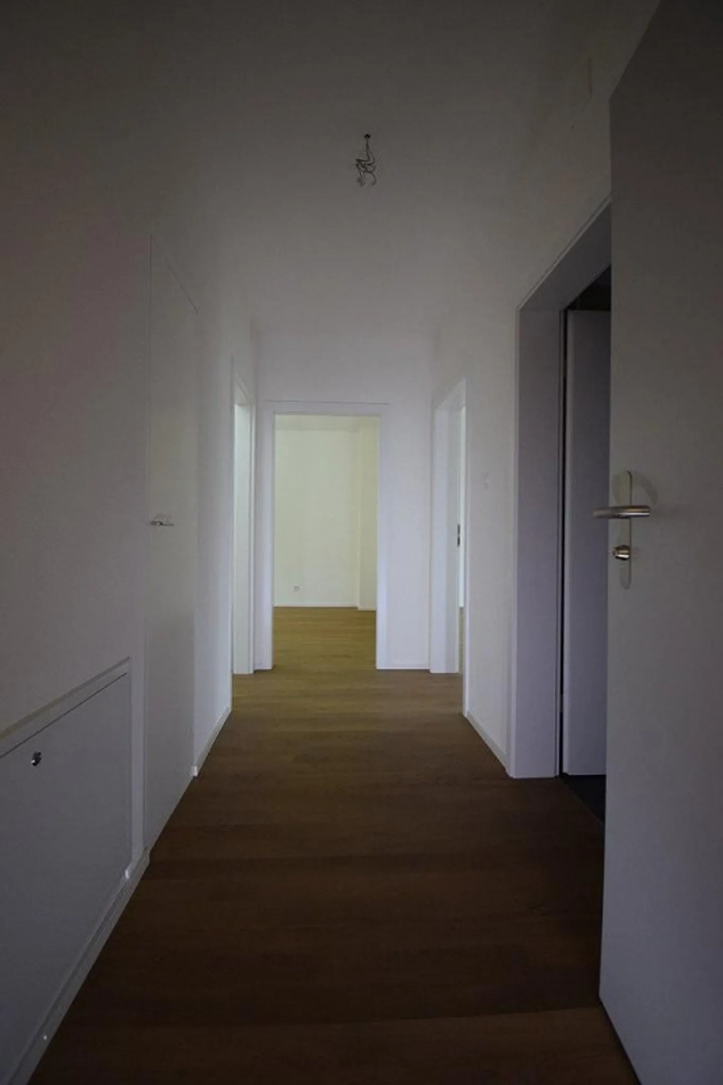 Beautiful 3.5 room apartment available from 16.01.2025 - Photo 3 of 5