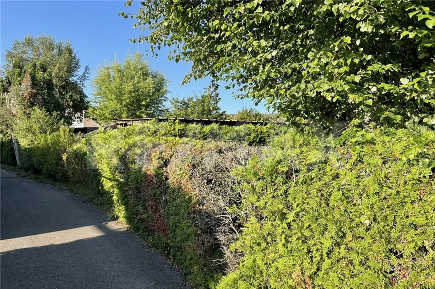 oinpüiompüoüoomoümooop - Foto 2 di 13