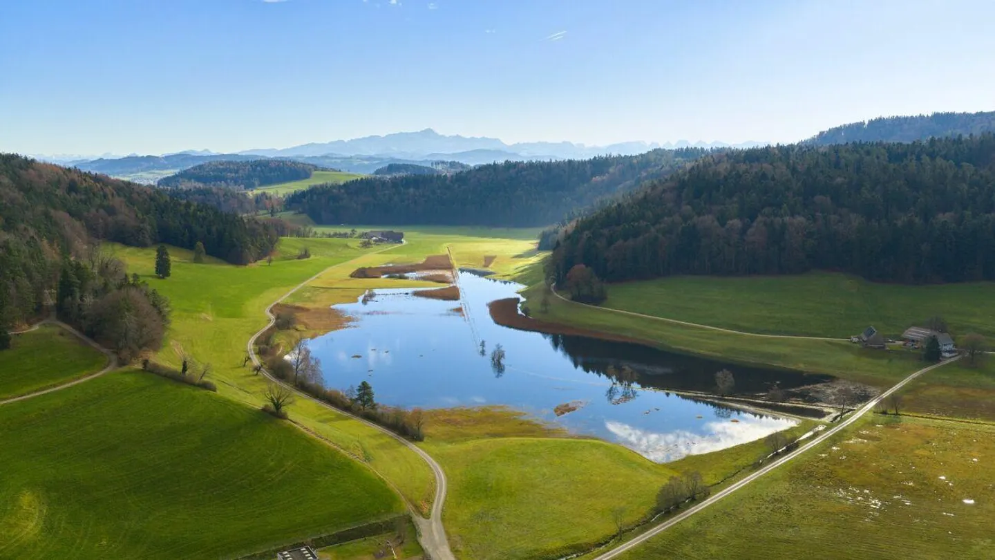 Appartement spacieux de 3,5 pièces avec vue sur la verdure - Photo 15 sur 16