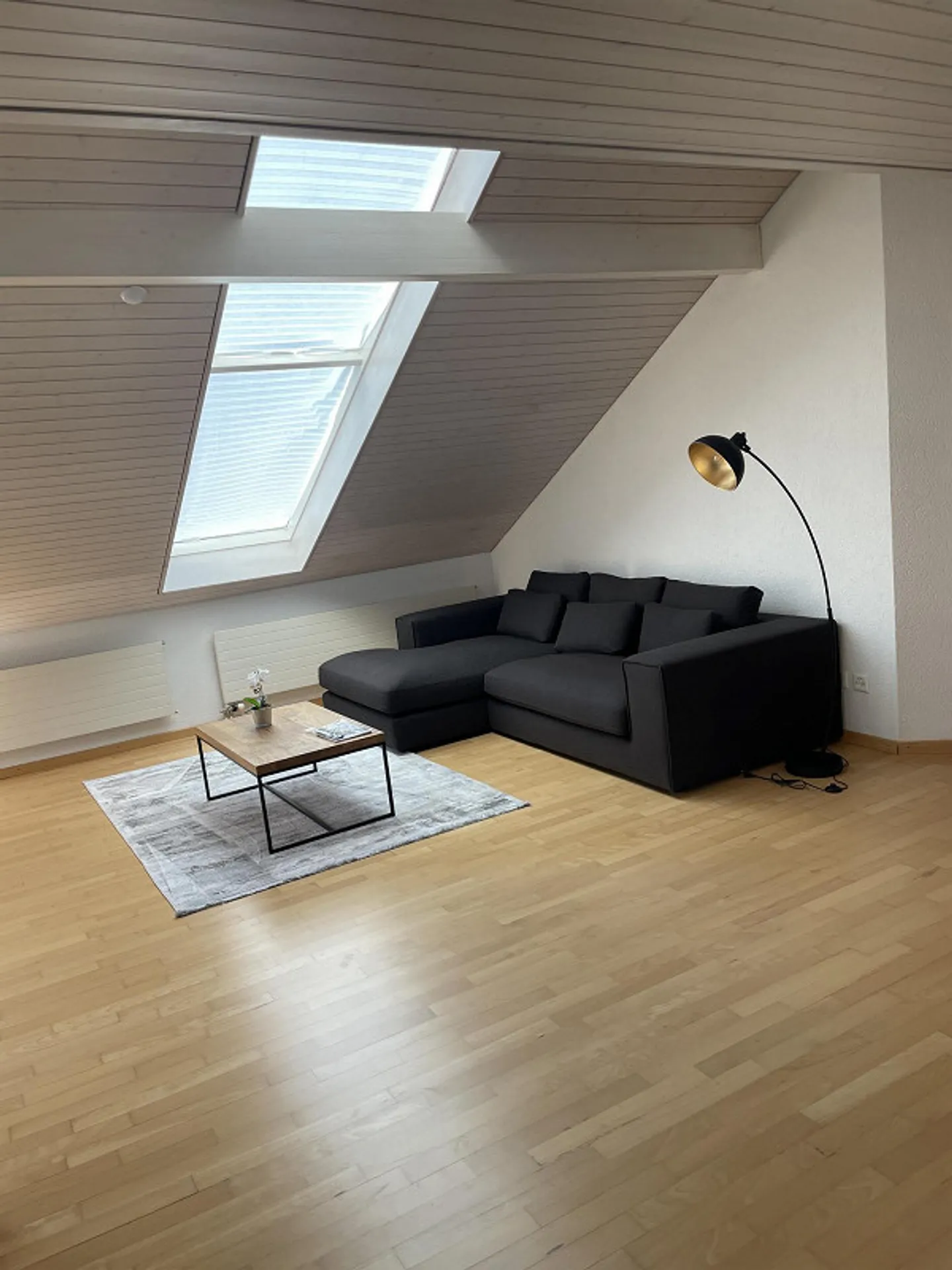 3.5 Zimmer Dachwohnung mit Möbel - Foto 3 von 13
