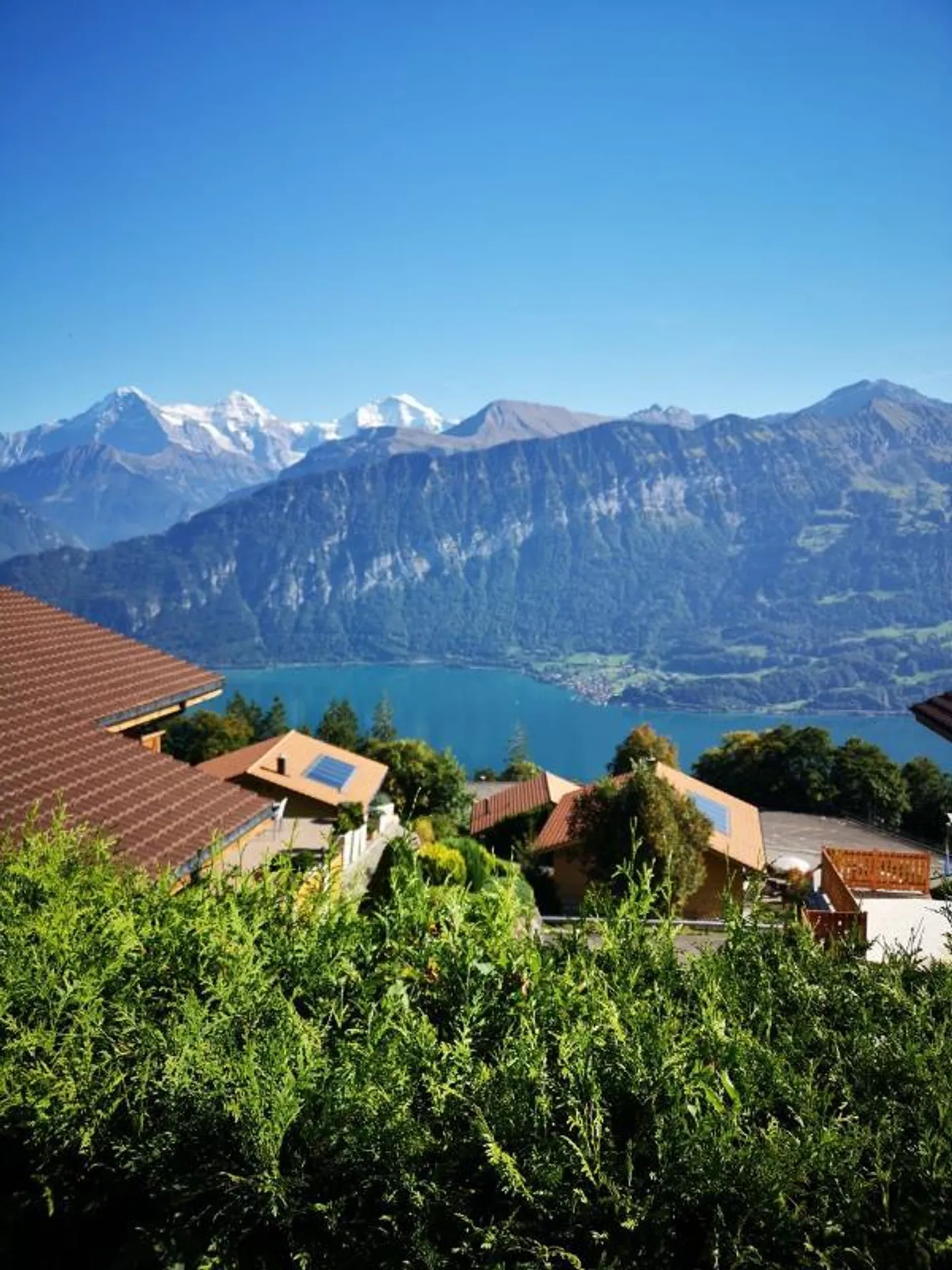 2.5 Room Apartment - Photo 2 of 5