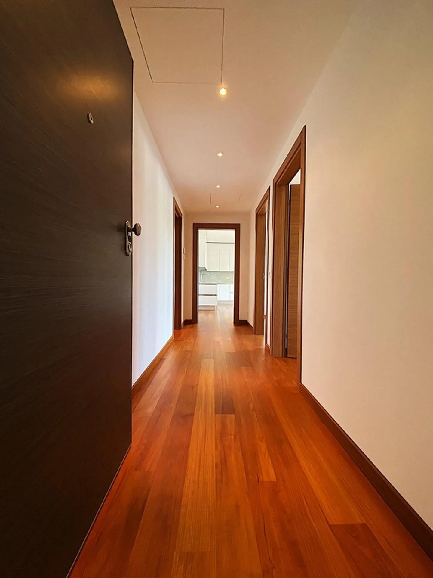 For rent 3.5 rooms in prestigious residence - Albonago - Photo 1 of 17