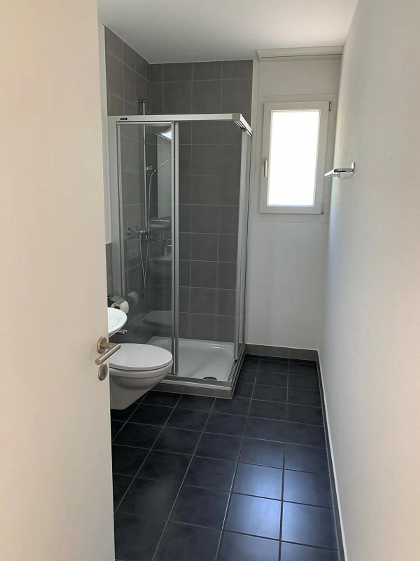 4.5 Room Apartment in Sarnen - Photo 4 of 9