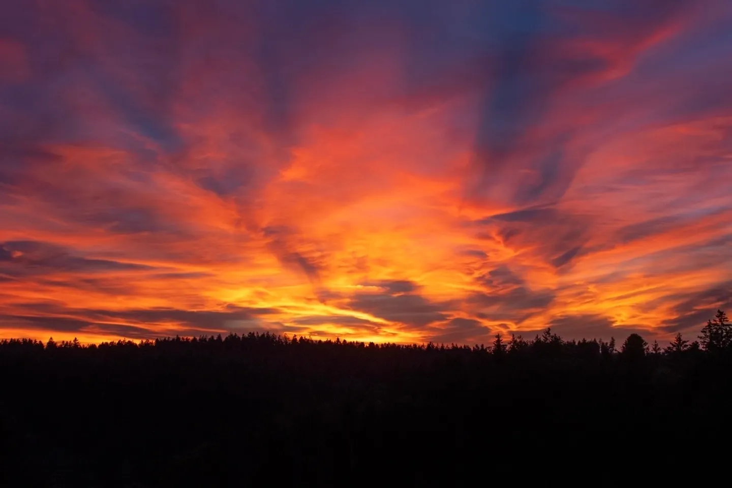 Charmante appartement 3.5 pièces dans le vert avec vue sur la forêt - Photo 11 sur 12