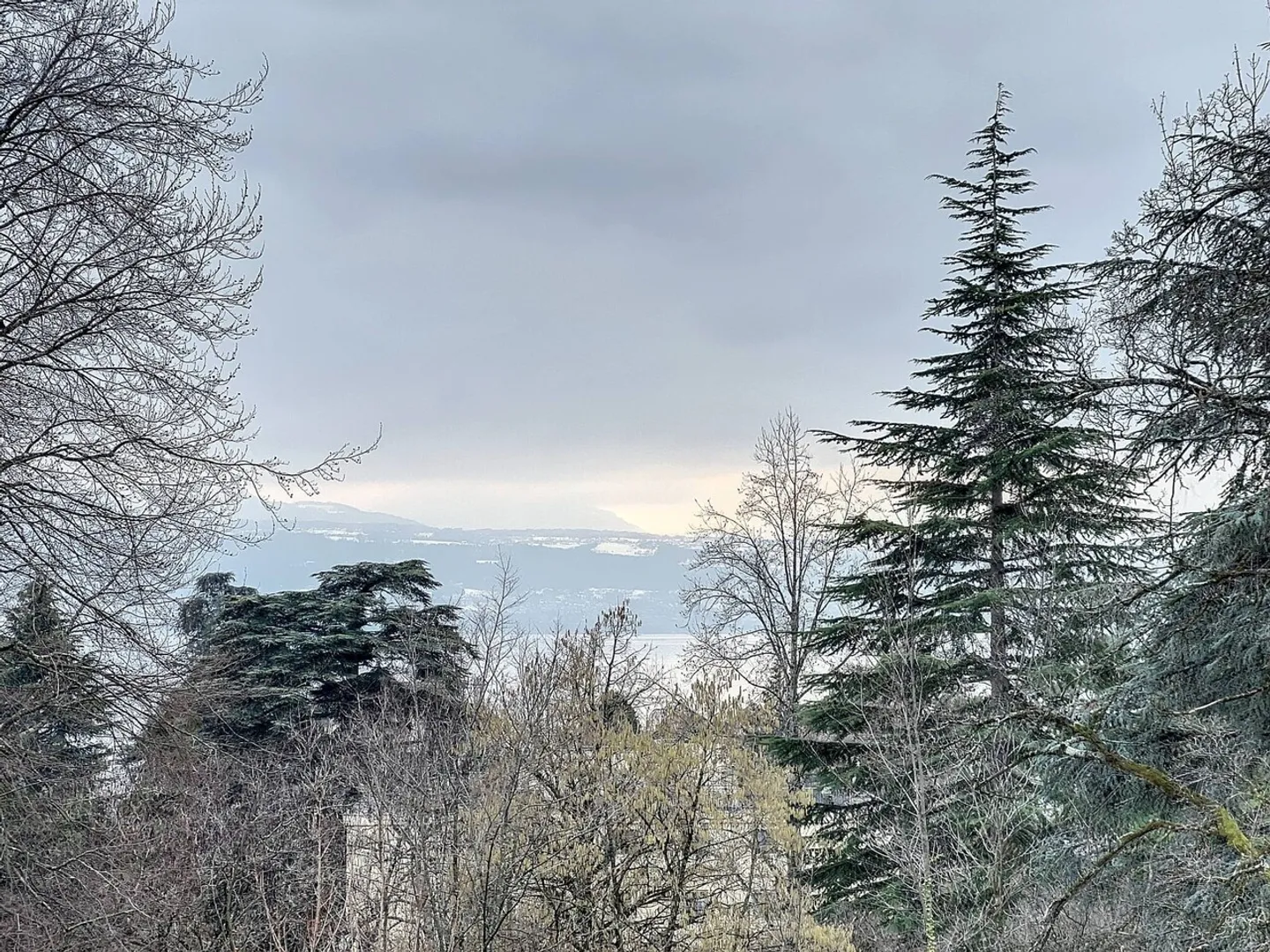 Appartement 4.5 pièces - Photo 3 sur 18