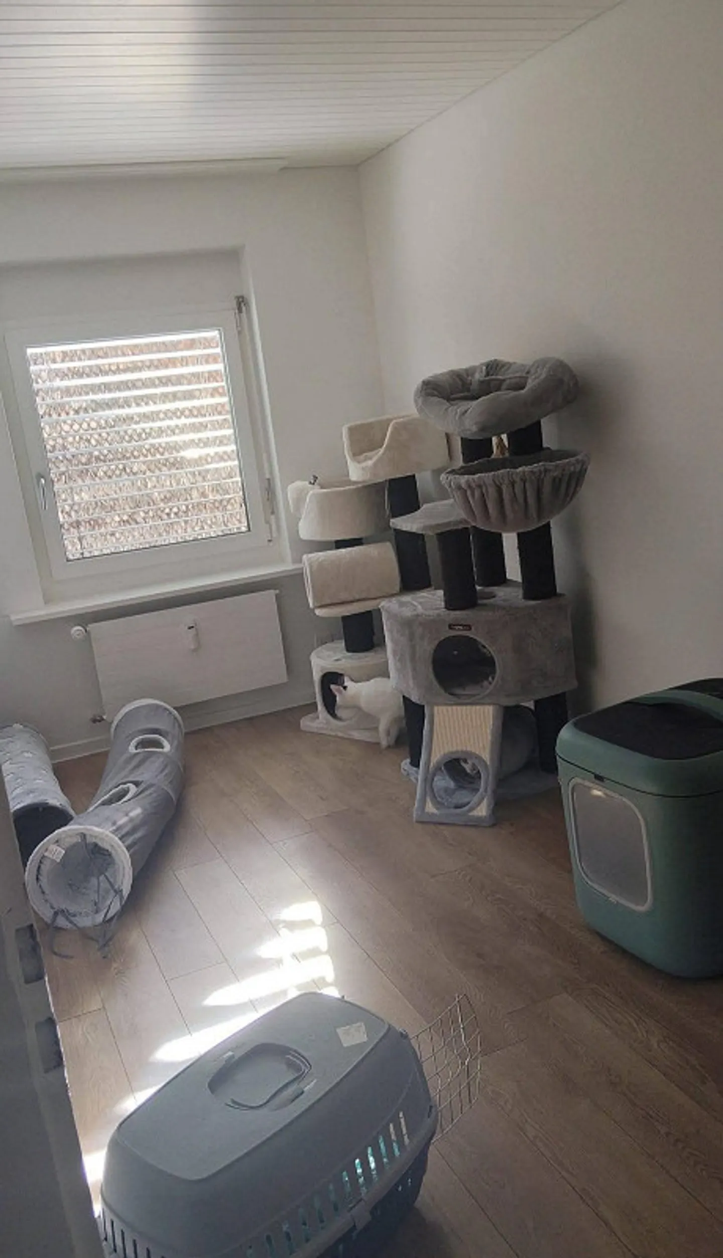 Central 3.5-room apartment for rent in 3150 Schwarzenburg! 🏡 - Photo 8 of 8