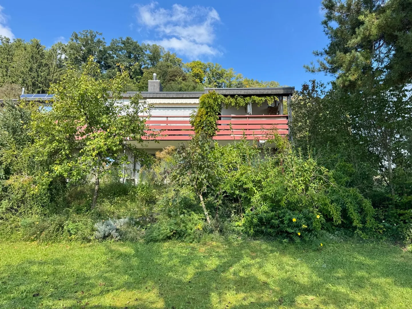 Plot (buildable) with panoramic view, single-family home in need of renovation - Photo 4 of 9