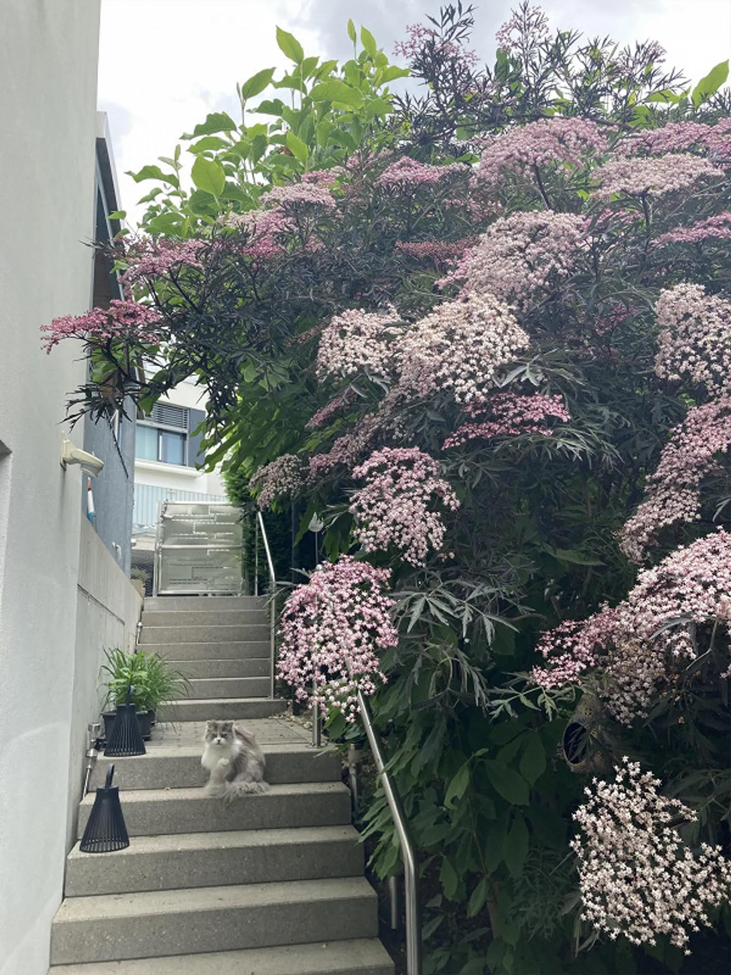 Moderna casa unifamiliare di 5,5 stanze in standard Minergie ad Arisdorf - Foto 15 di 18