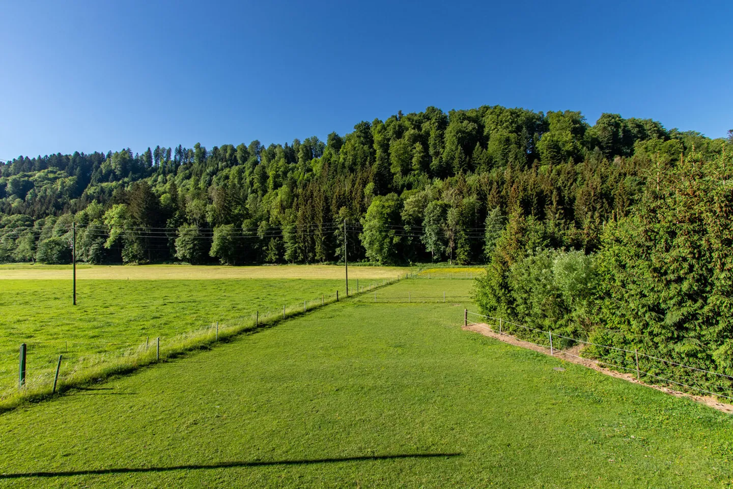 5.5-ROOM SINGLE-FAMILY HOUSE WITH UNOBSTRUCTED VIEW INTO NATURE - Photo 6 of 22