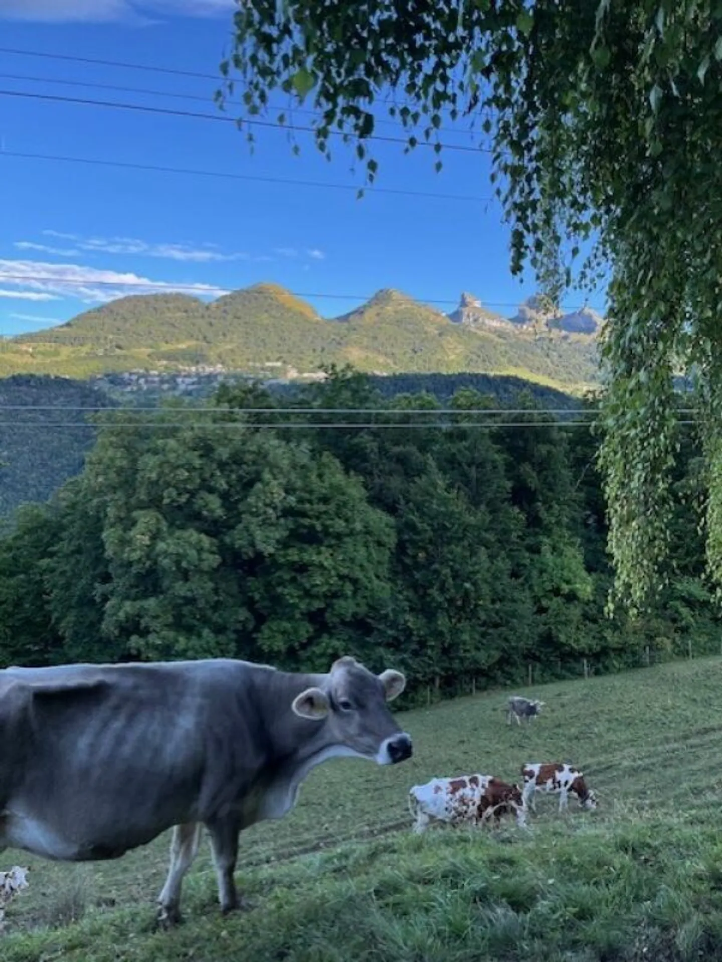 Casa di montagna da ristrutturare - Foto 2 di 17