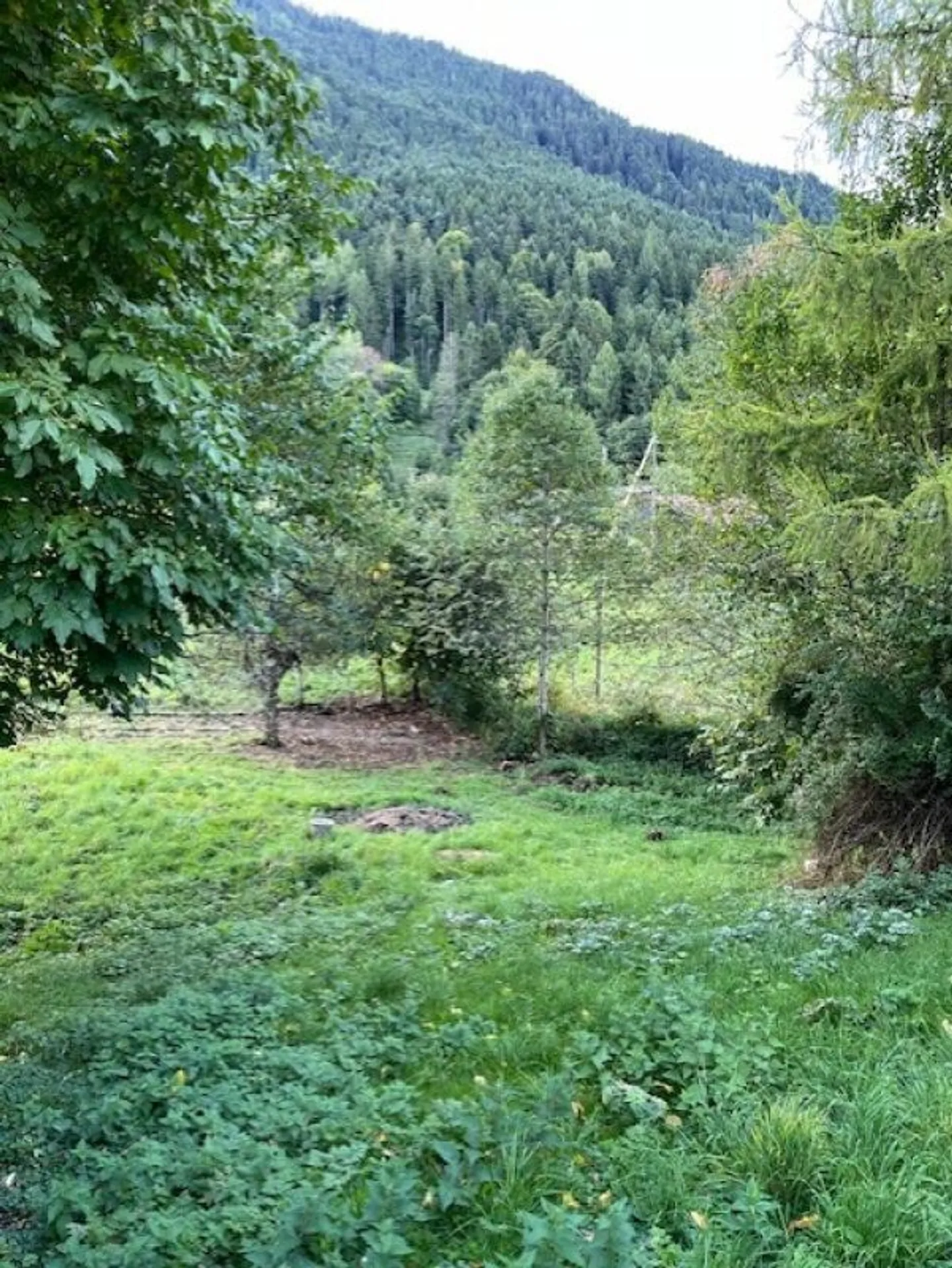 Casa di montagna da ristrutturare - Foto 11 di 17