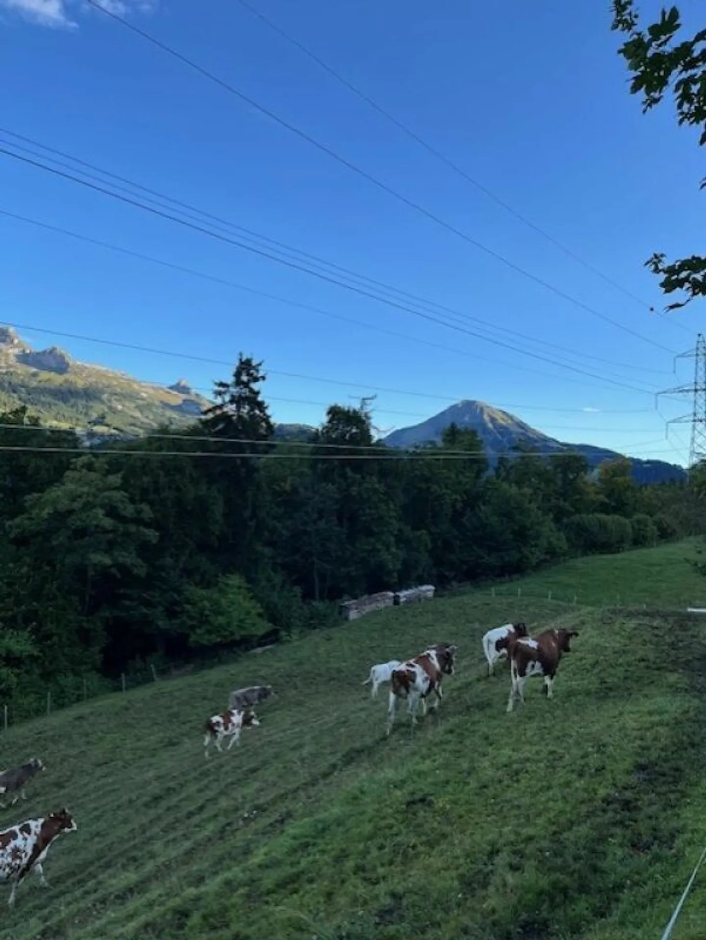 Casa di montagna da ristrutturare - Foto 4 di 17
