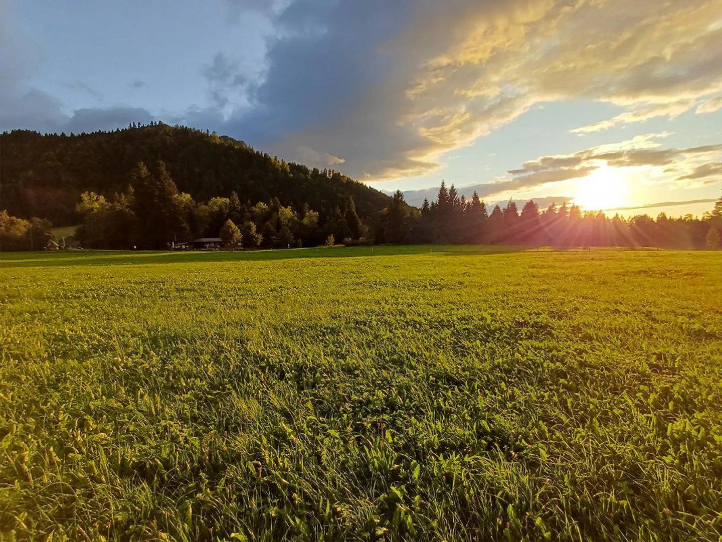 Wohnen und leben im idyllischen Eigenthal, am Fusse des Pilatus - Foto 4 von 19