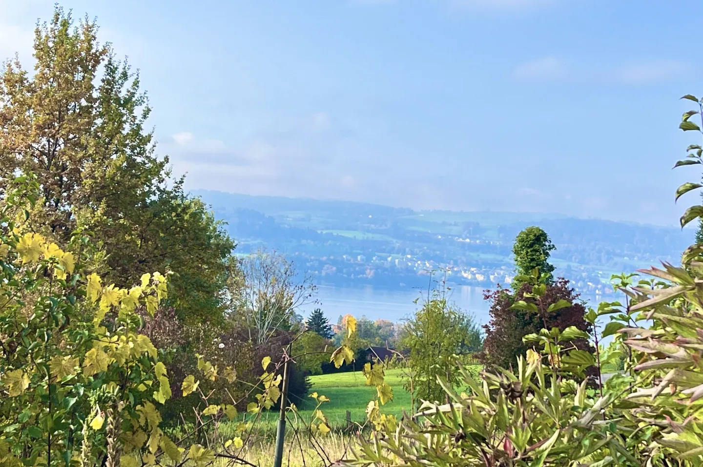 Two properties with rarity value and unobstructed lake view! - Photo 3 of 18