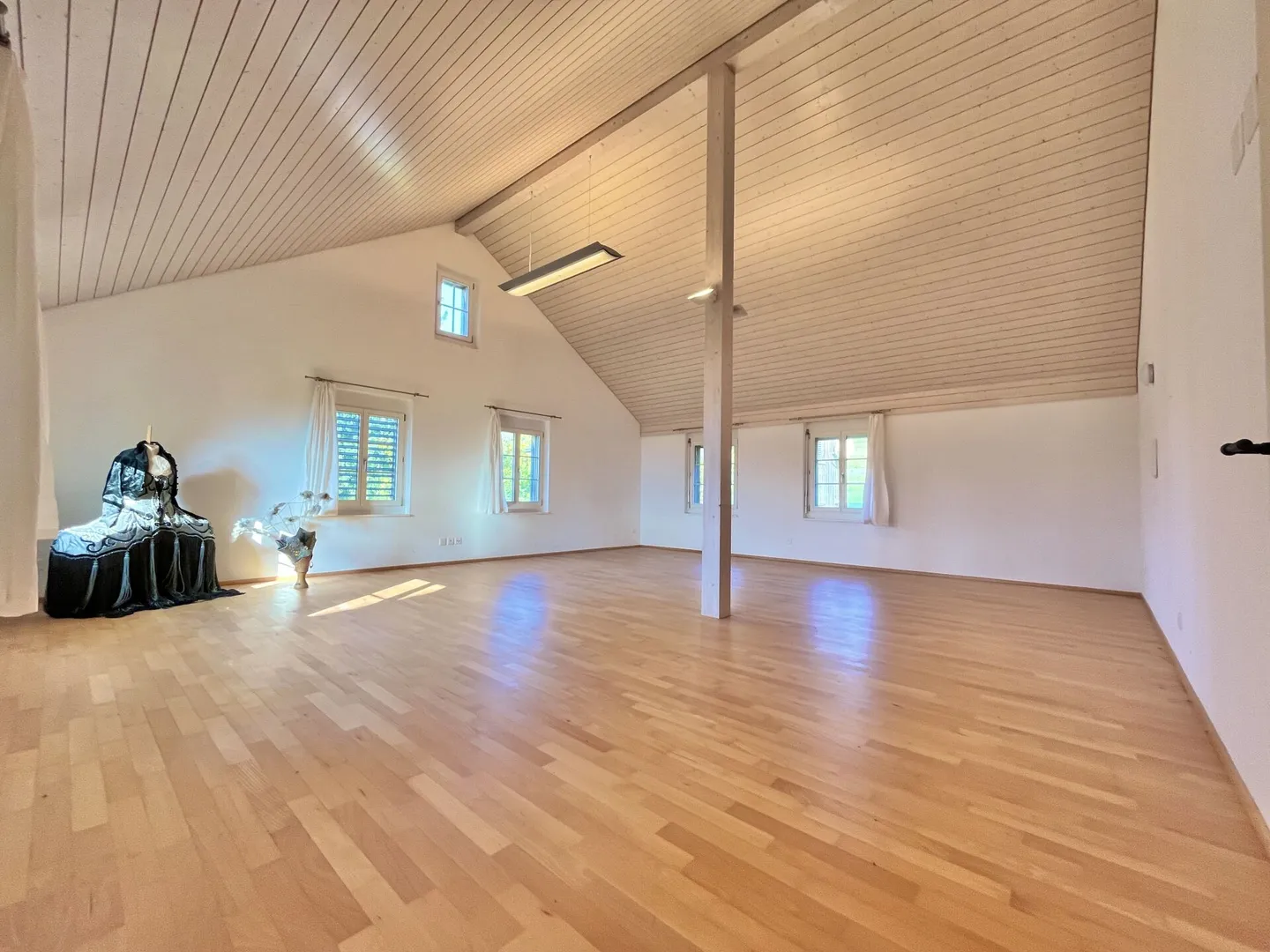 Two properties with rarity value and unobstructed lake view! - Photo 10 of 18