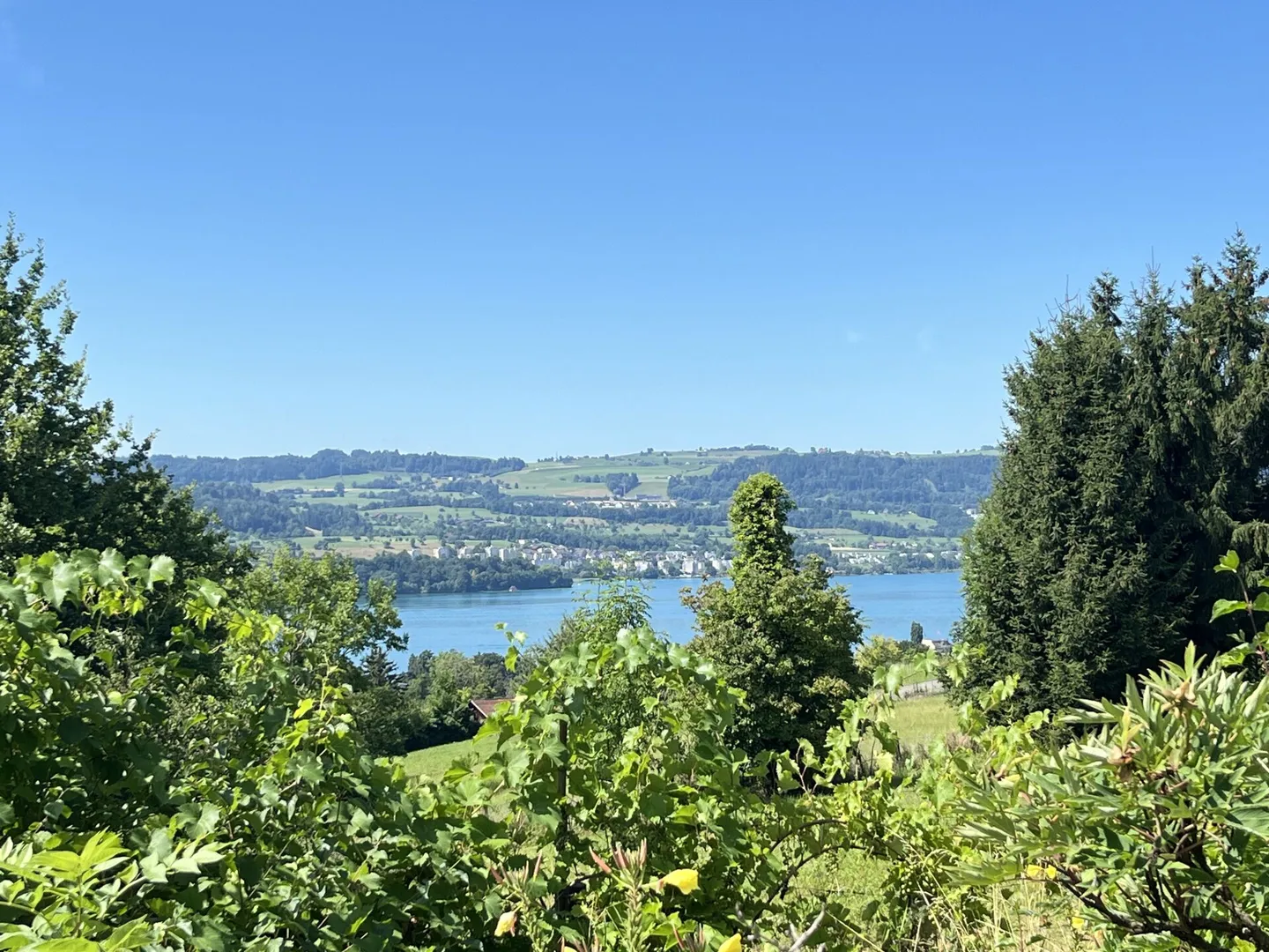 Two properties with rarity value and unobstructed lake view! - Photo 13 of 18