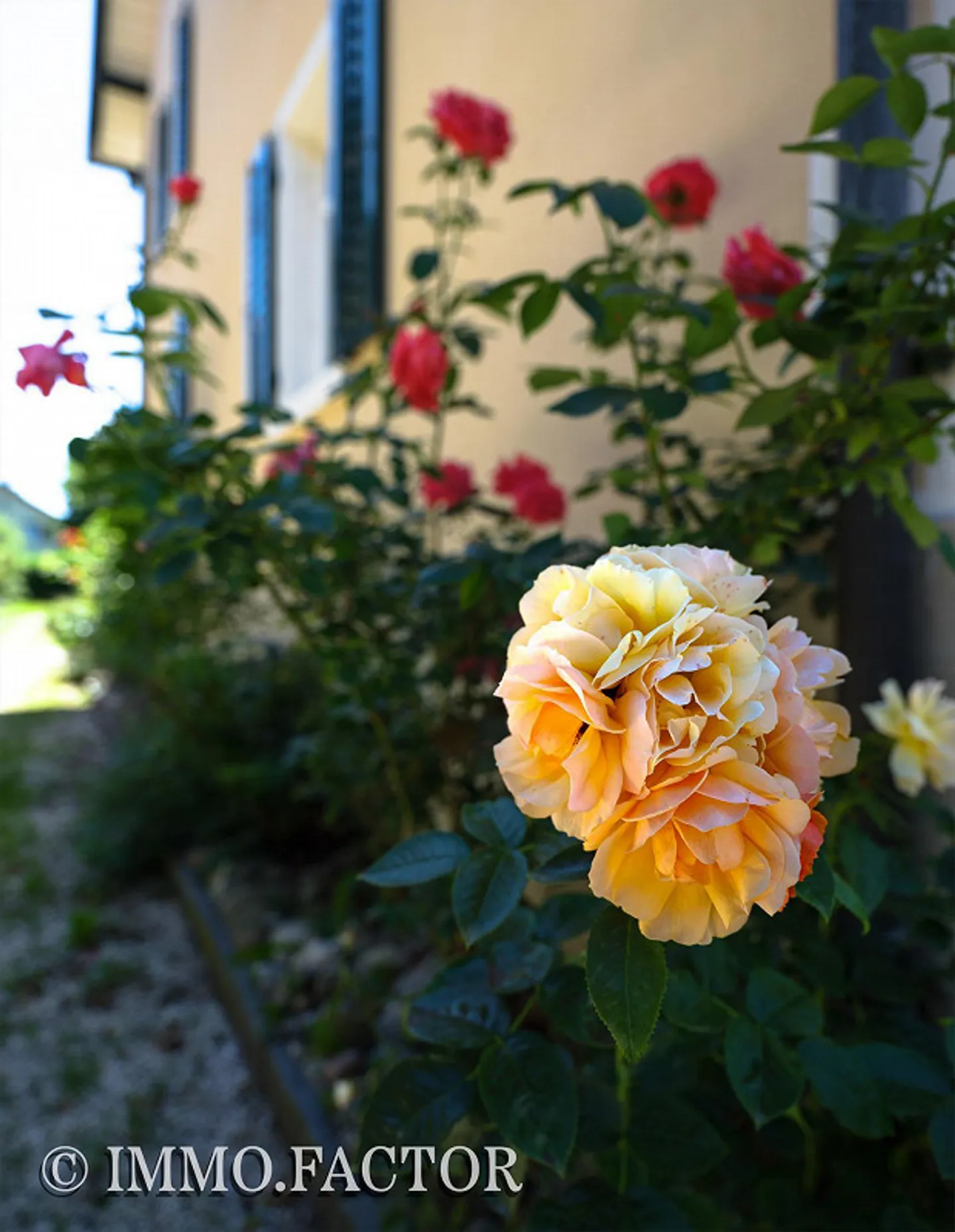 Renovated farmhouse with plenty of space for creative projects ❤️ - Photo 25 of 28