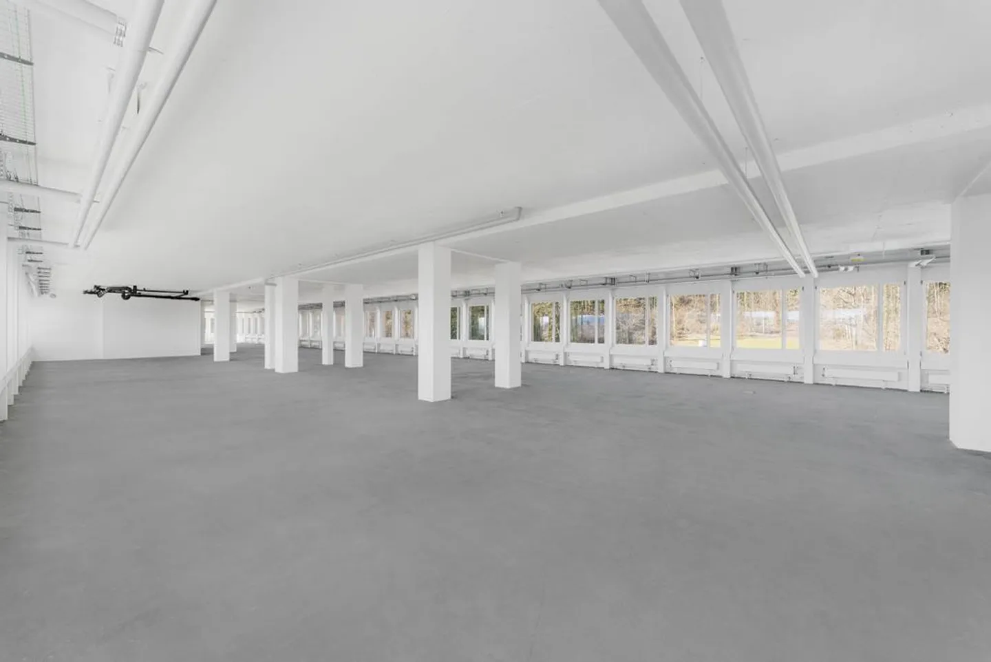 Work in a well-developed location on the outskirts of Zurich - Photo 2 of 11
