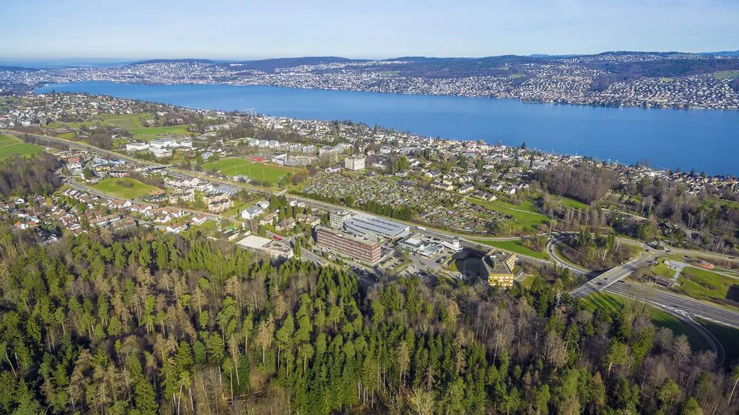 Work in a well-developed location on the outskirts of Zurich - Photo 8 of 11