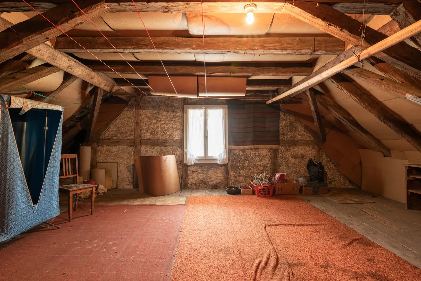 Fattoria in una posizione centrale con notevole potenziale di espansione - Foto 18 di 22