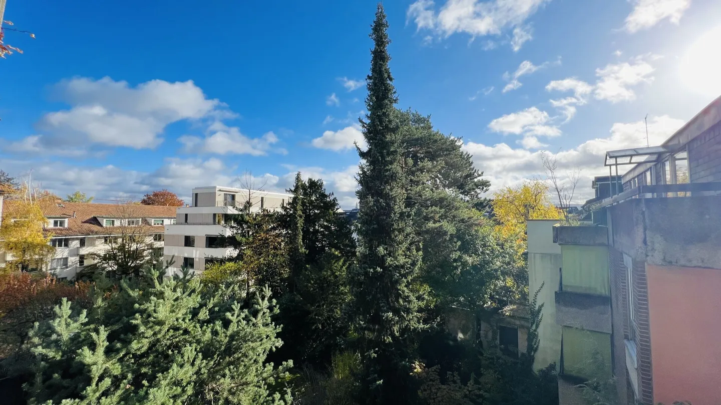 Appartement de 3,5 pièces entièrement rénové avec 2 salles de bain, 2 balcons et une place de parking souterrain XXL dans un emplacement de choix - Photo 12 sur 19