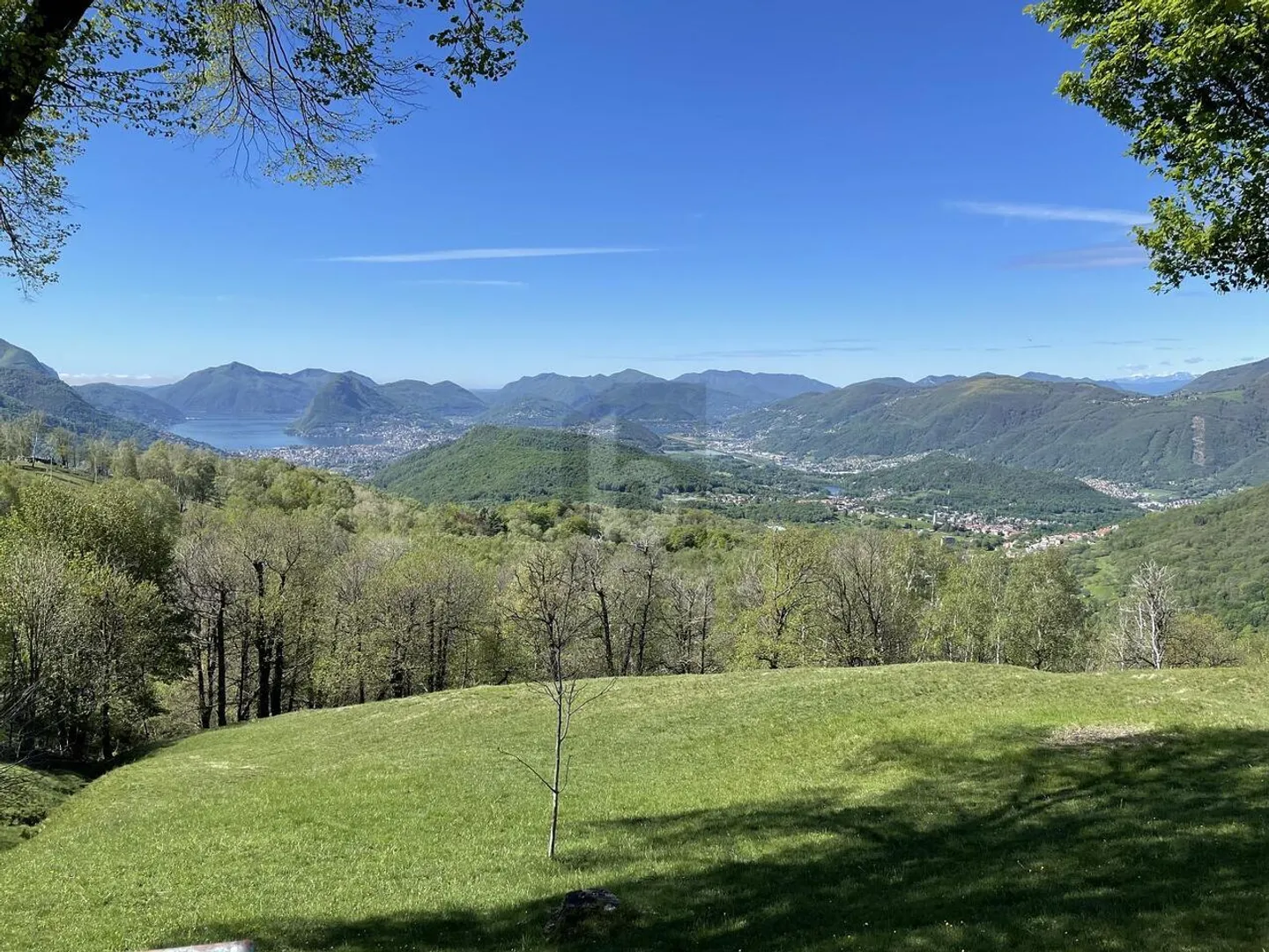 PRICE DROP! NATURE LOVERS - Photo 2 of 6