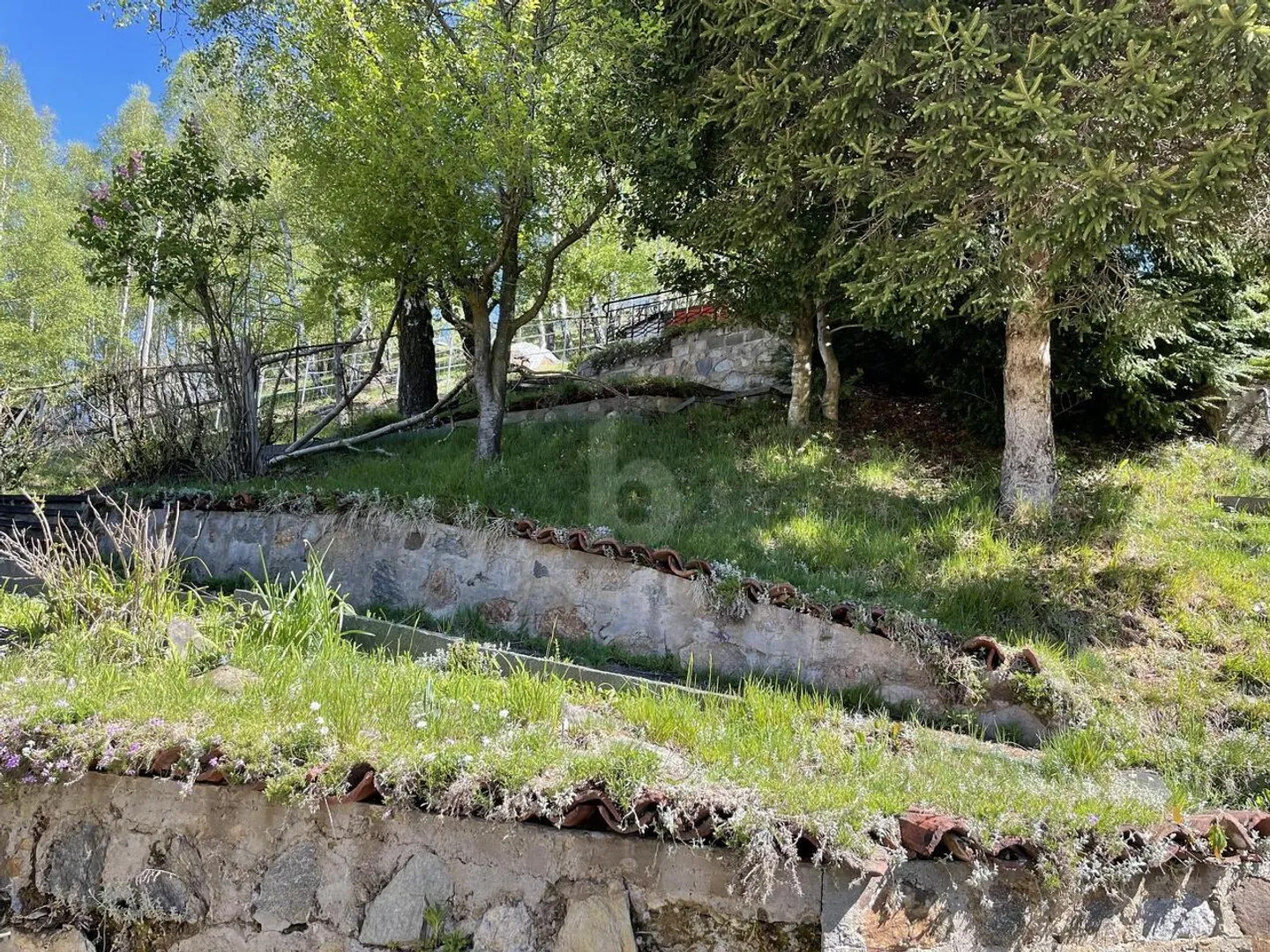 PRICE DROP! NATURE LOVERS - Photo 5 of 6