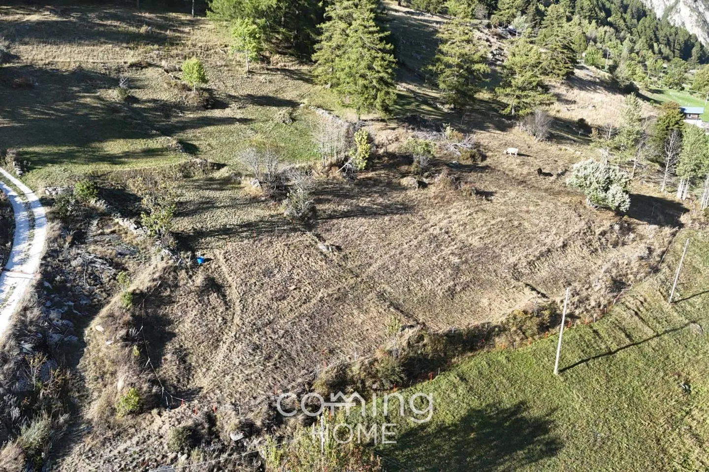 Sunny Building Plot in Salwald - Photo 2 of 8