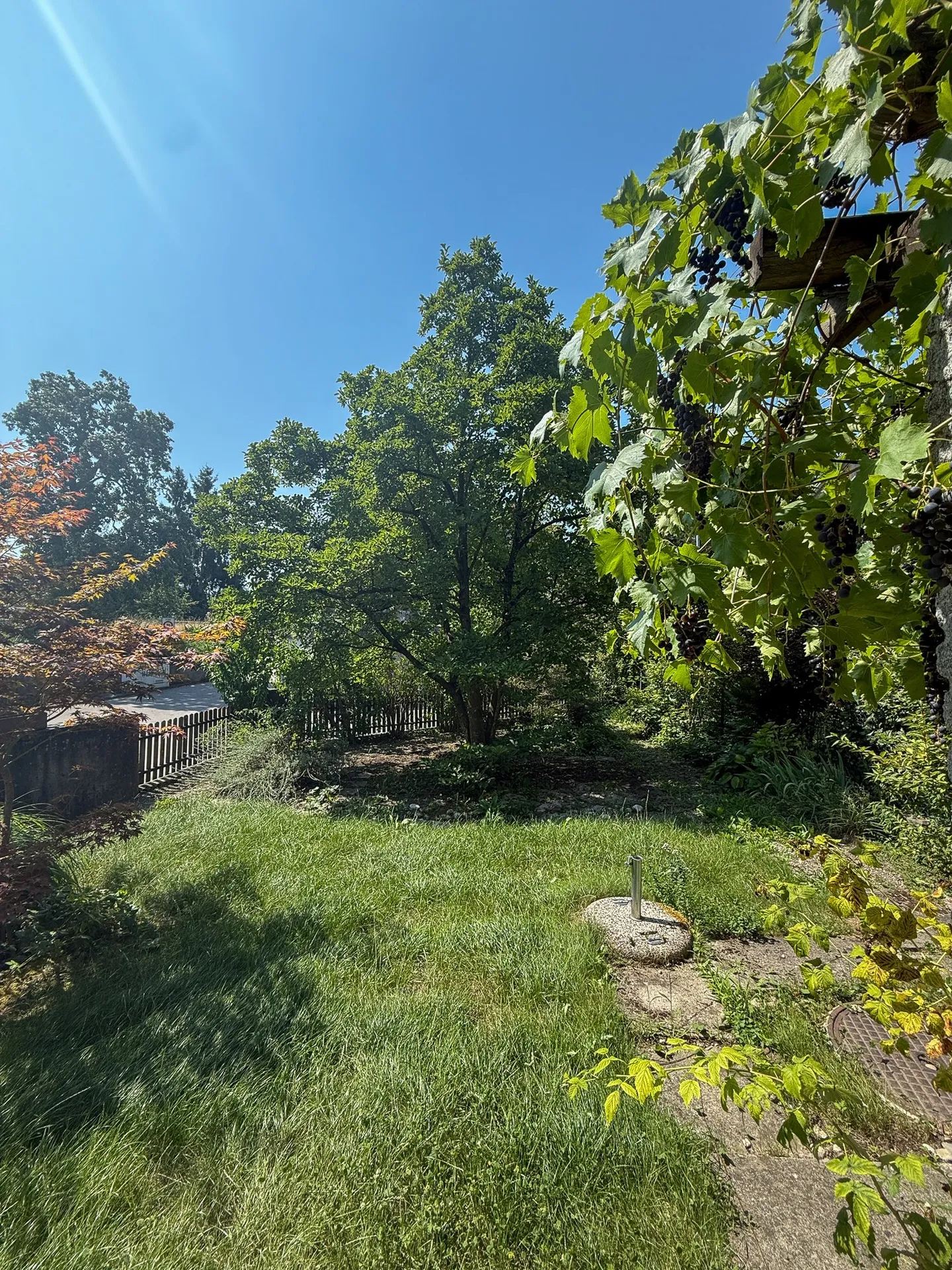 Appartamento duplex con giardino privato, centro del villaggio di Münchenbuchsee - Foto 7 di 43