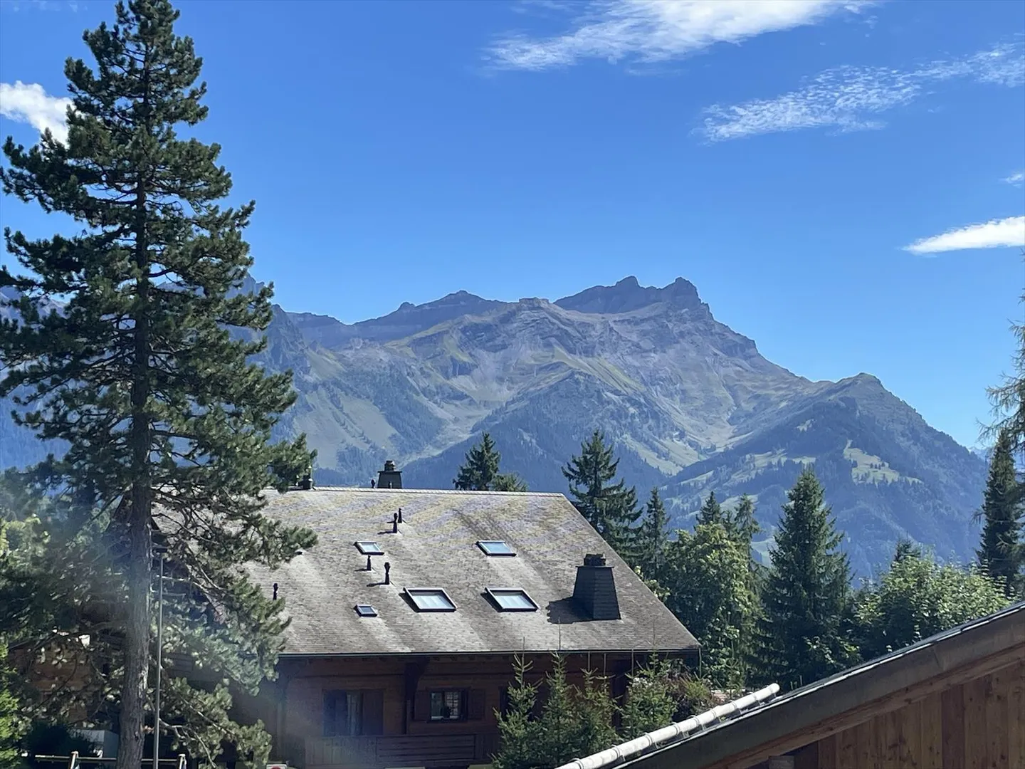 Beautiful chalet near skiing - Photo 27 of 28