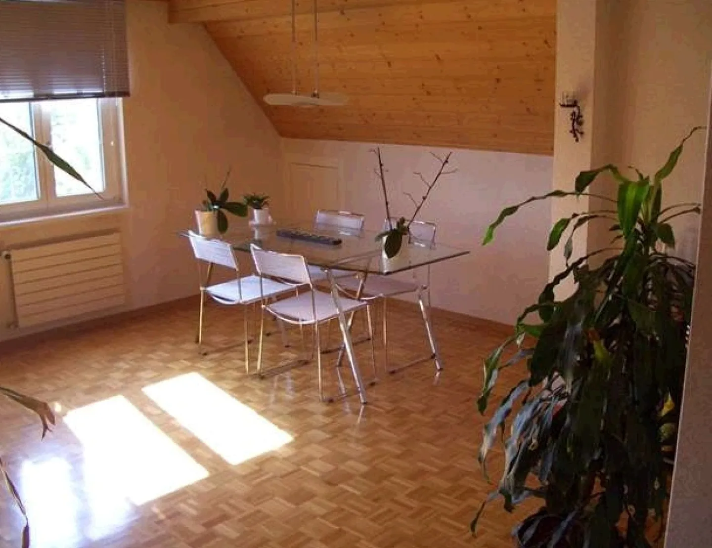 Charming 5.5 Room Maisonette Apartment in the City Center - Photo 3 of 9