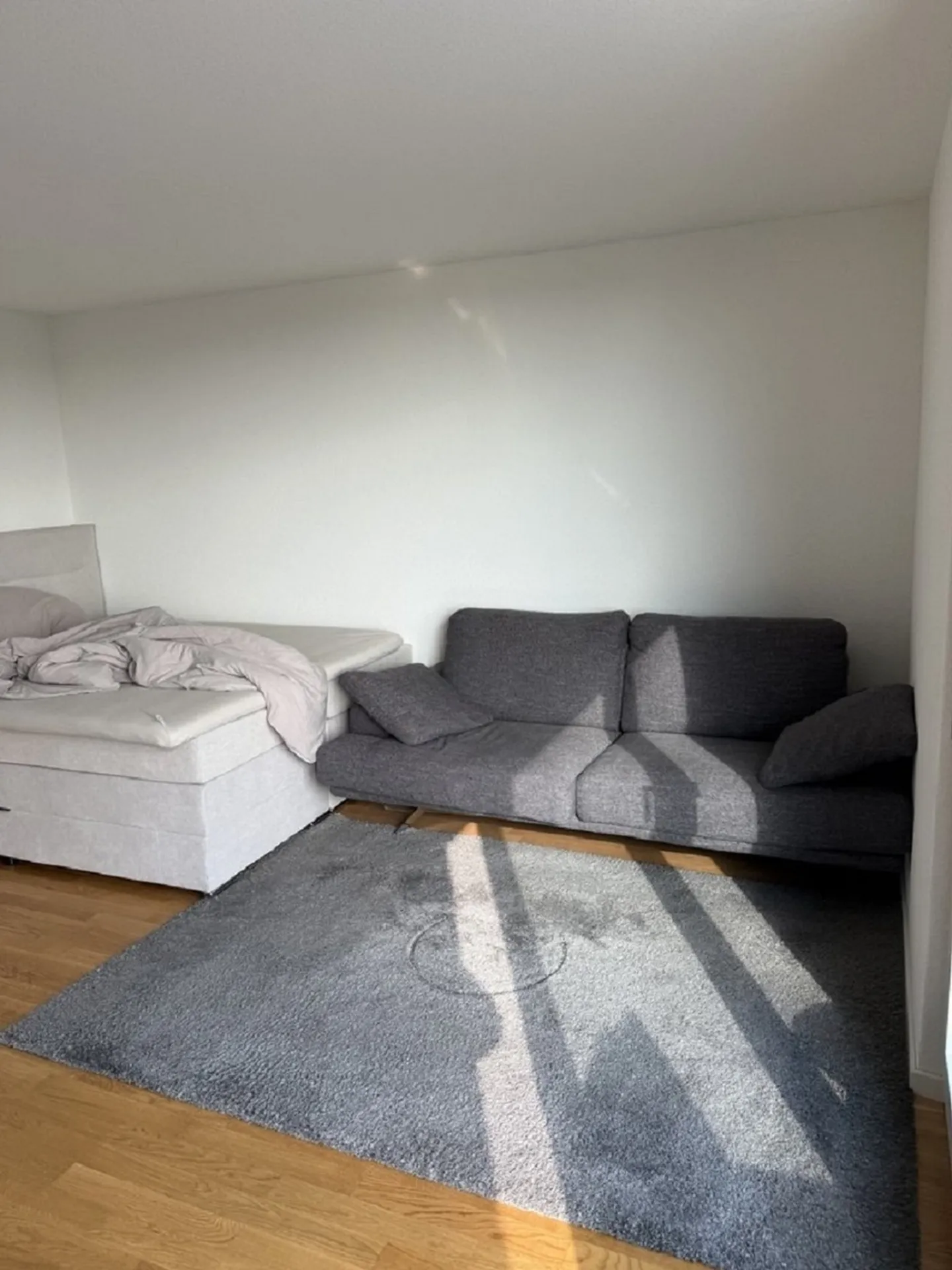 Modern 1-room apartment with balcony in Solothurn - available immediately! - Photo 11 of 13