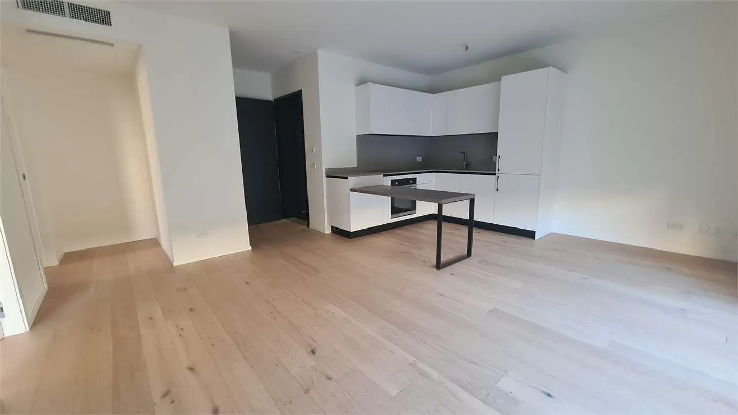 CHIASSO: NUOVO ELEGANTE 2.5 LOC CON AMPIO GIARDINO - Foto 8 di 12