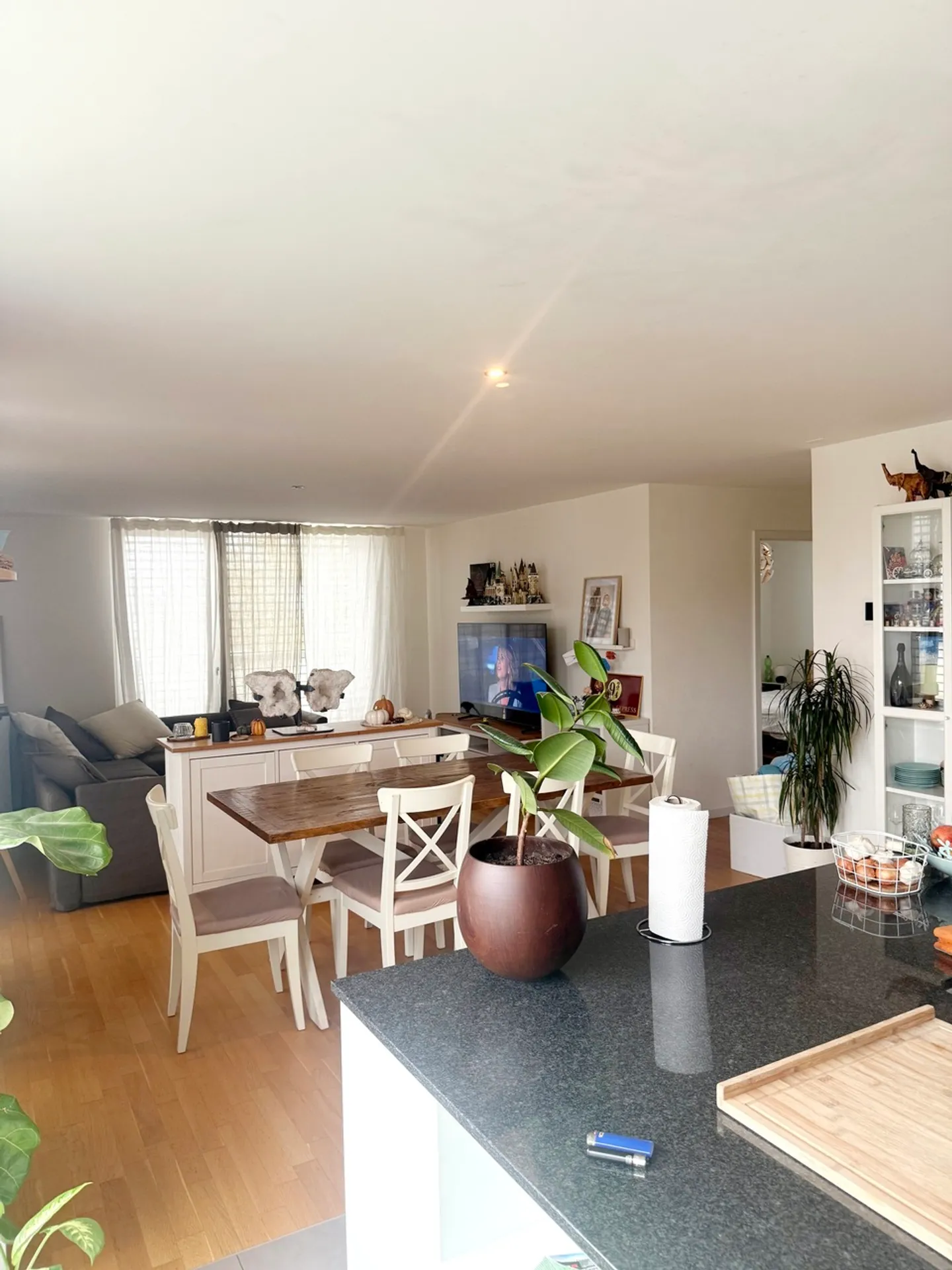 GARE 8C, appartamento di 5.5 locali con 3 bagni - Foto 3 di 14