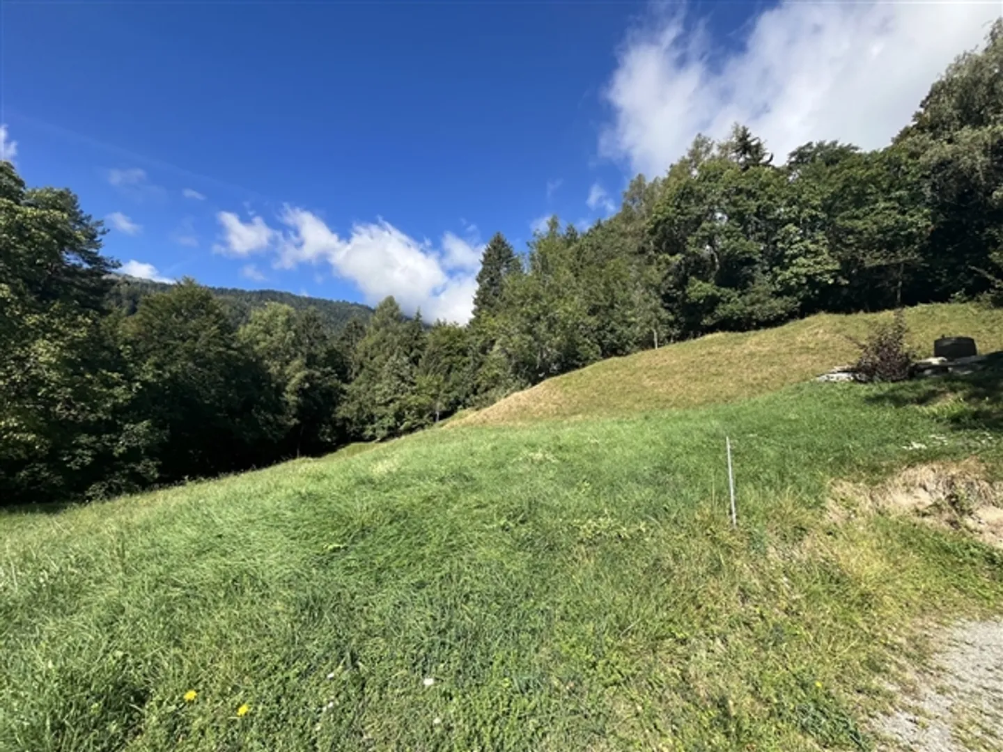 Chalet -4,5 Stk. -Les Vérines (Chamoson) - Agente Unico - ref. 10247728 - Foto 4 di 13