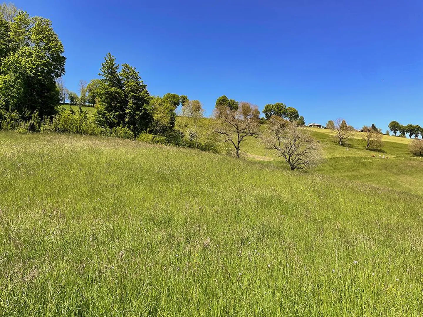 Villa kaufen - Foto 2 von 3