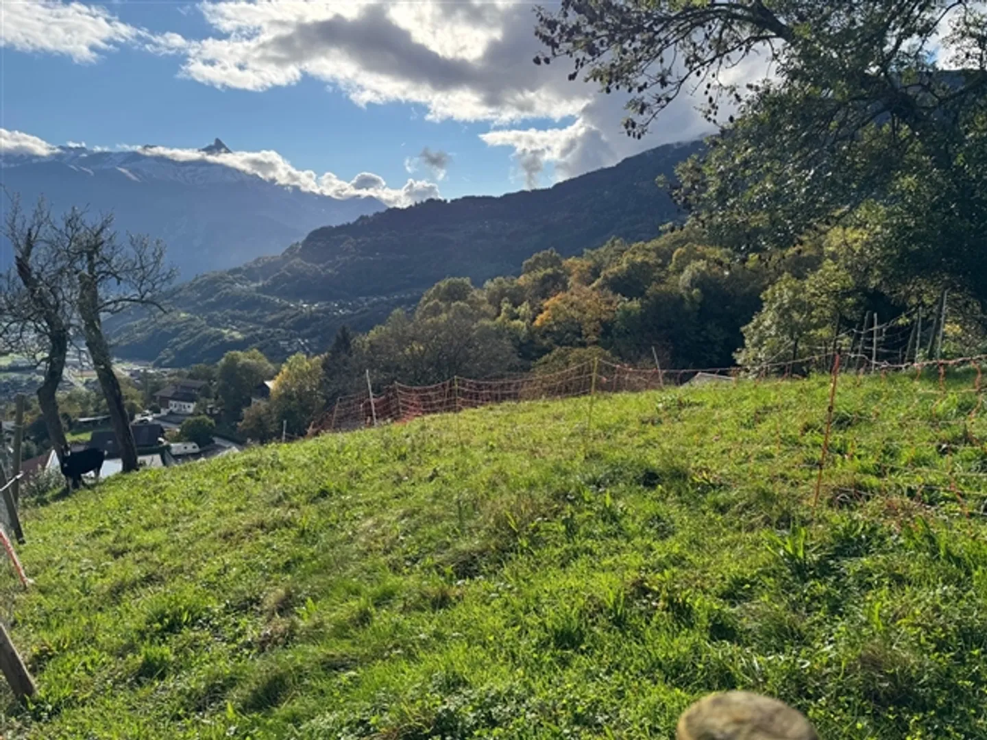 Terrain / Les Neyres / Sans Mandat / EXCLUSIVITÉ - Photo 1 sur 6