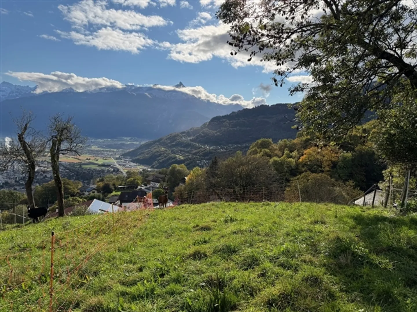 Terrain / Les Neyres / Sans Mandat / EXCLUSIVITÉ - Photo 2 sur 6