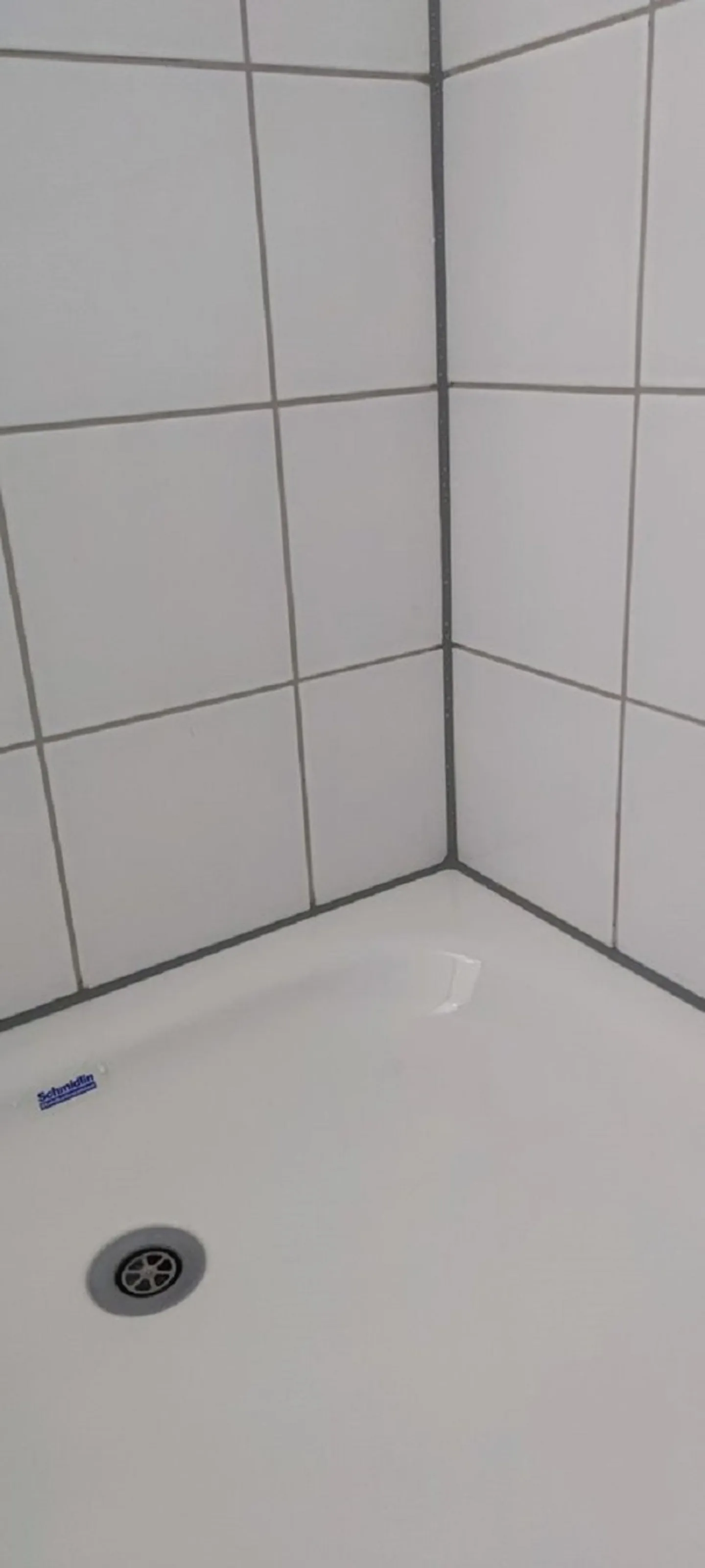 Charmantes Studio in Thun - Foto 2 von 8