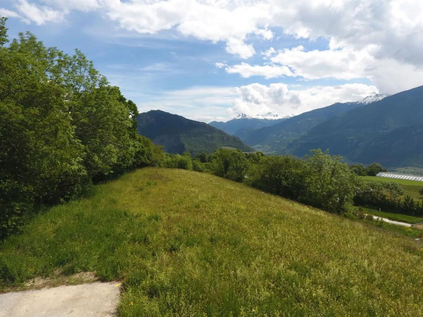Building plot for villa construction in Grimisuat for sale - Photo 5 of 5