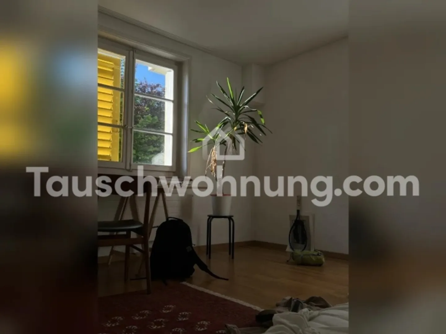 [APPARTAMENTO IN SCAMBIO] 1,5 locali Wiedikon-edificio storico contro appartamento 2,5+ locali - Foto 2 di 9