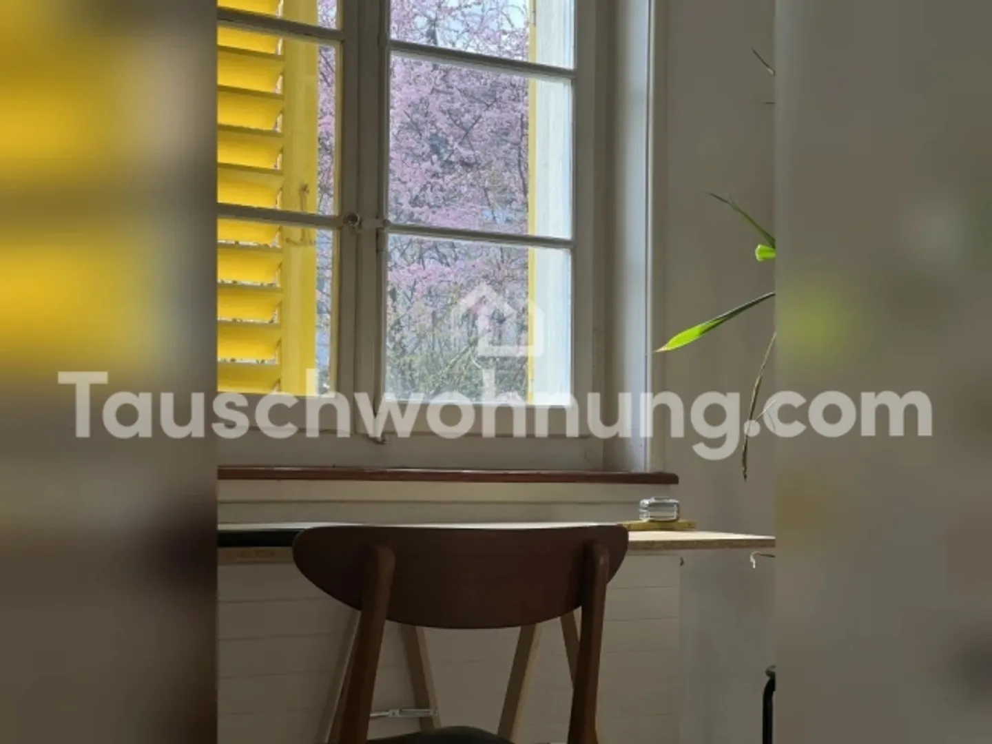 [APPARTAMENTO IN SCAMBIO] 1,5 locali Wiedikon-edificio storico contro appartamento 2,5+ locali - Foto 9 di 9