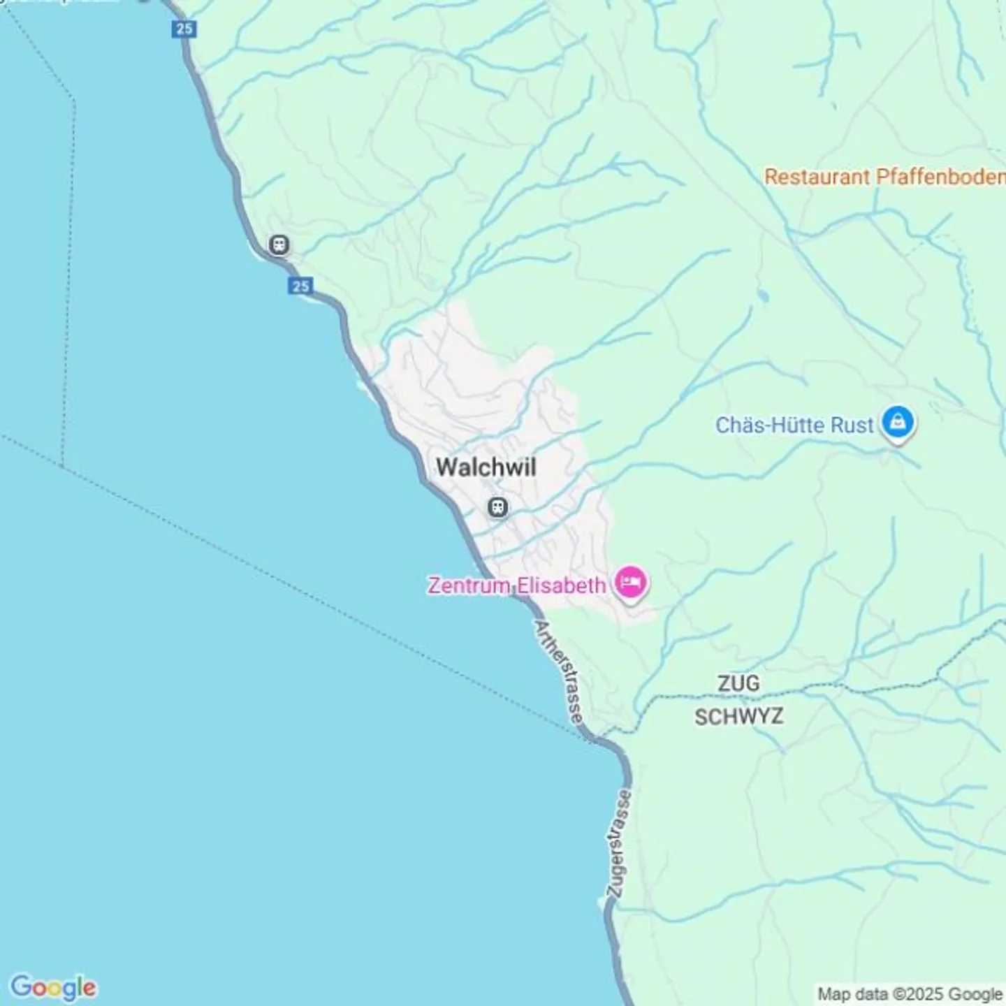 Appartamento familiare di 5,5 stanze a Walchwil con vista sul lago da scambiare - Foto 1 di 1