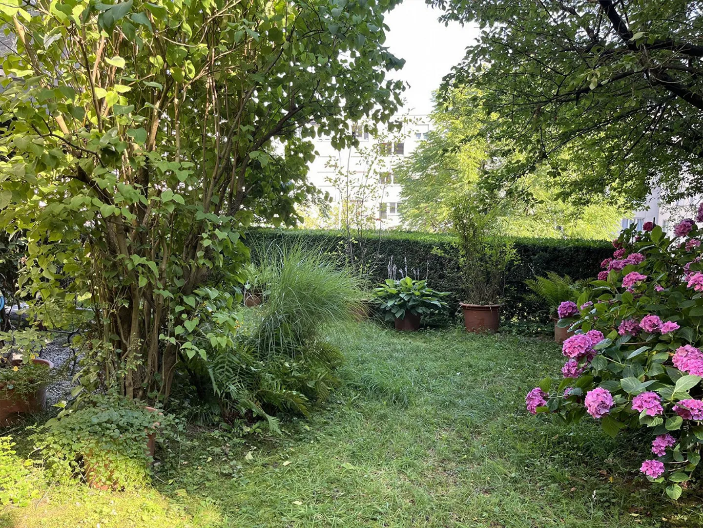 Appartamento giardino affascinante e soleggiato - Foto 1 di 11