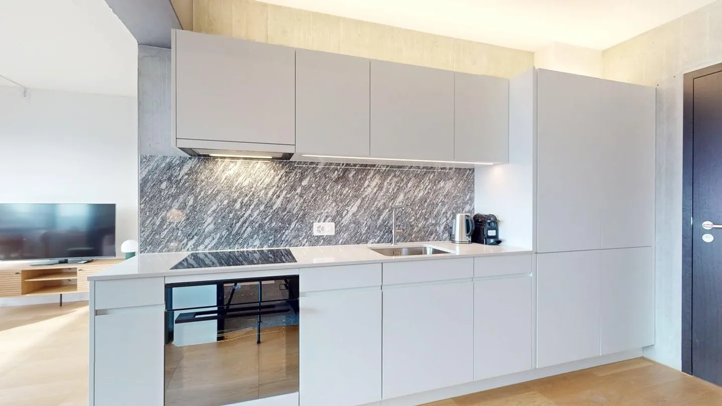 Appartamento Premium con 1 Camera nel Nuovo Alto Tower – Freihofstrasse 23, Zurigo - Foto 4 di 7