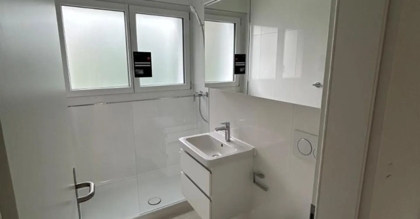 Renovierte Wohnung in Luzern - Foto 3 von 5